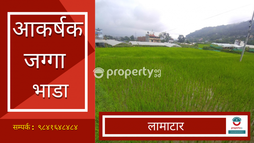 Lamatar, land on rent