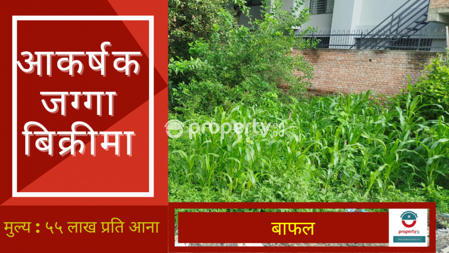 Bafal, Land on sale
